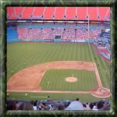 Go Dolphins, I mean Marlins!